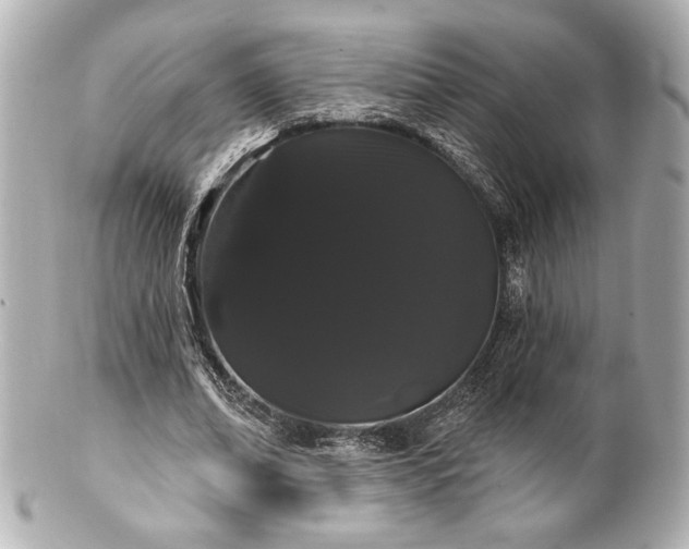 X0000100890678200807011157