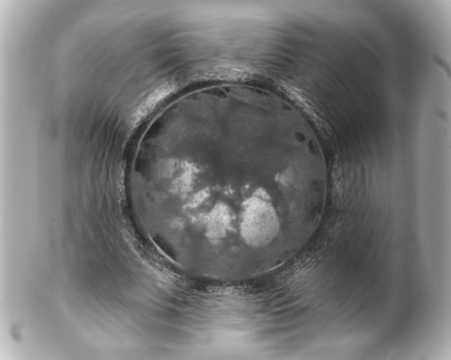 X0000100890679200807011157
