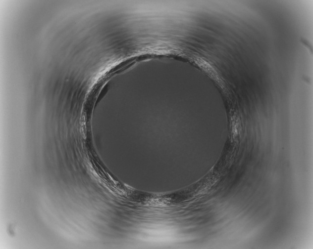 X0000100890680200807011157