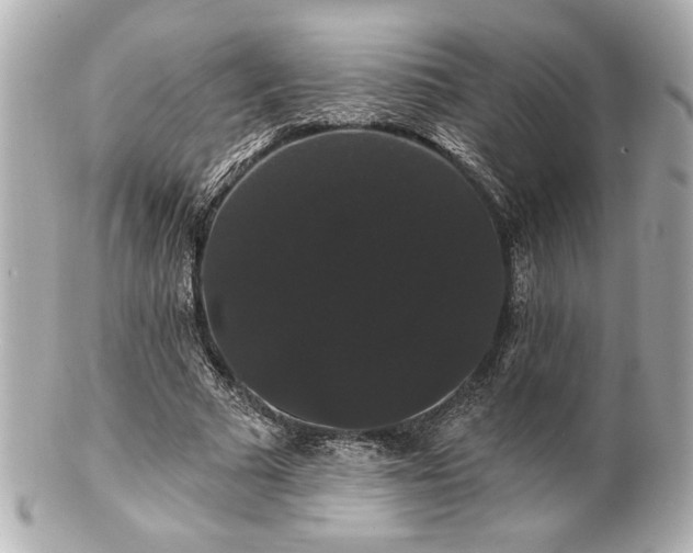 X0000100890681200807011157