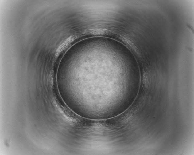 X0000100890682200807011157