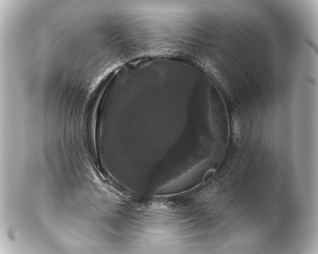 X0000100890684200807011157