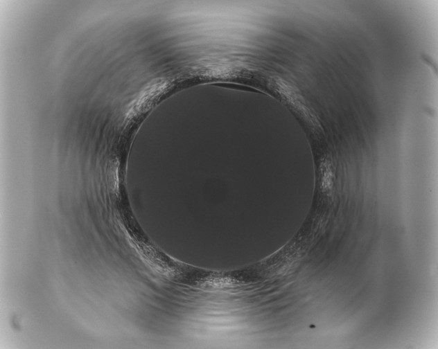 X0000100890685200807011157
