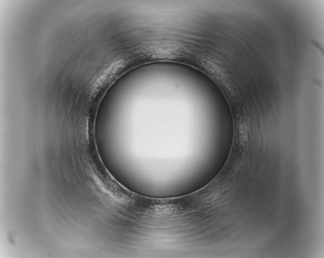 X0000100890686200807011157