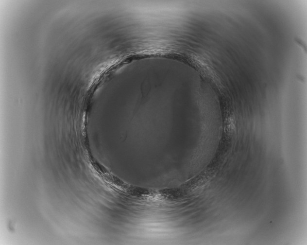 X0000100890688200807011157