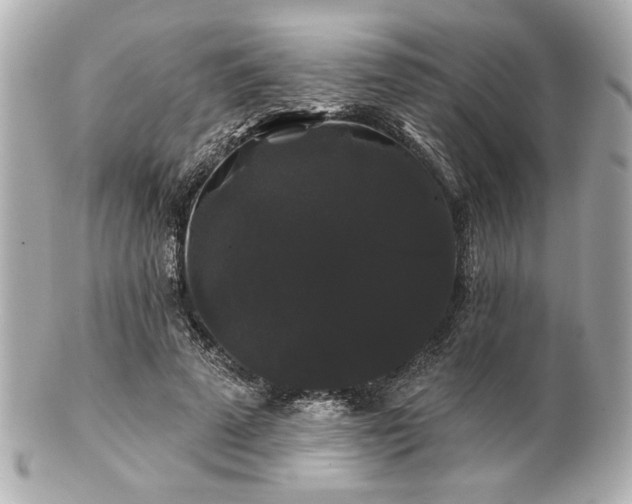 X0000100890689200807011157