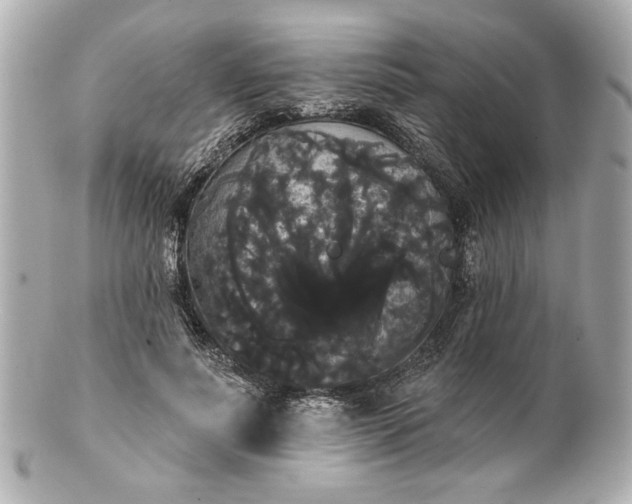 X0000100890691200807011157