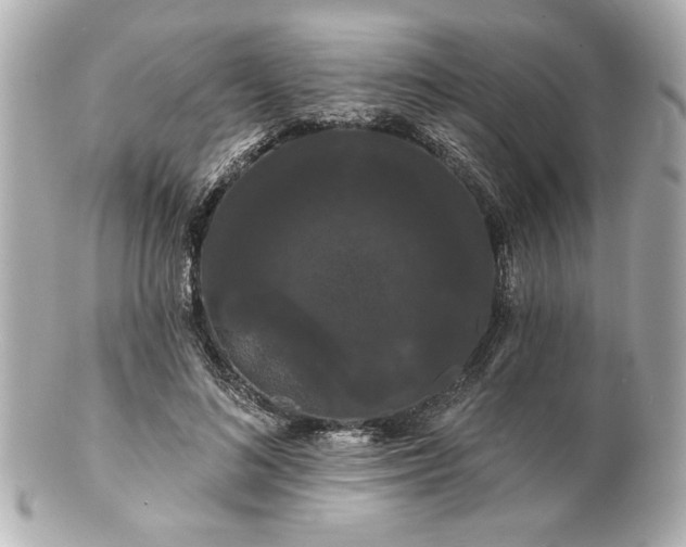 X0000100890692200807011157