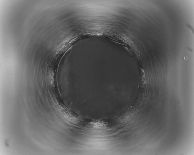 X0000100890693200807011157