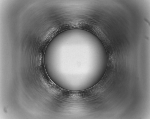 X0000100890694200807011157