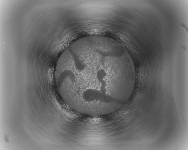 X0000100890695200807011157
