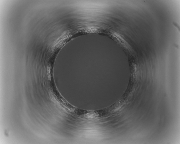 X0000100890696200807011157