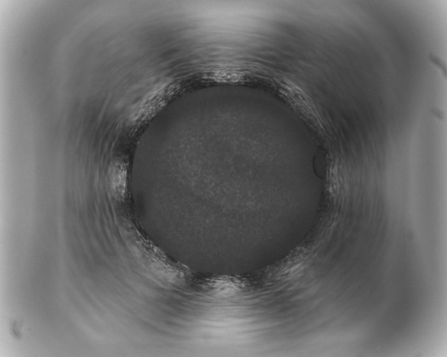 X0000100890697200807011157