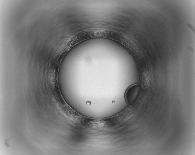 X0000100890698200807011157