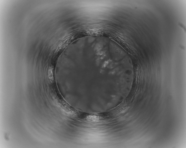 X0000100890699200807011157
