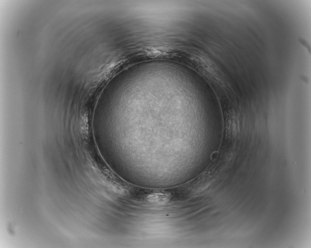 X0000100890700200807011157
