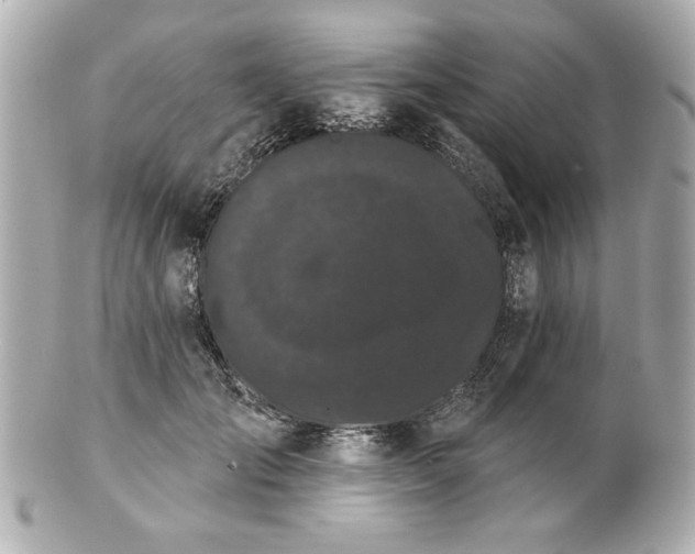 X0000100890701200807011157