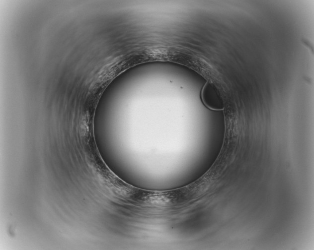 X0000100890702200807011157