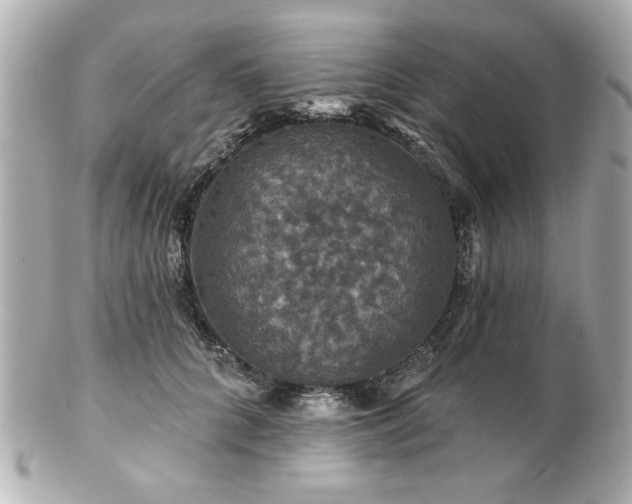 X0000100890704200807011157