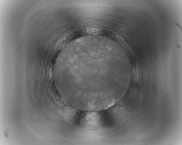 X0000100890705200807011157