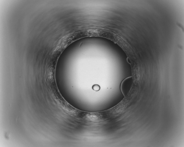 X0000100890706200807011157