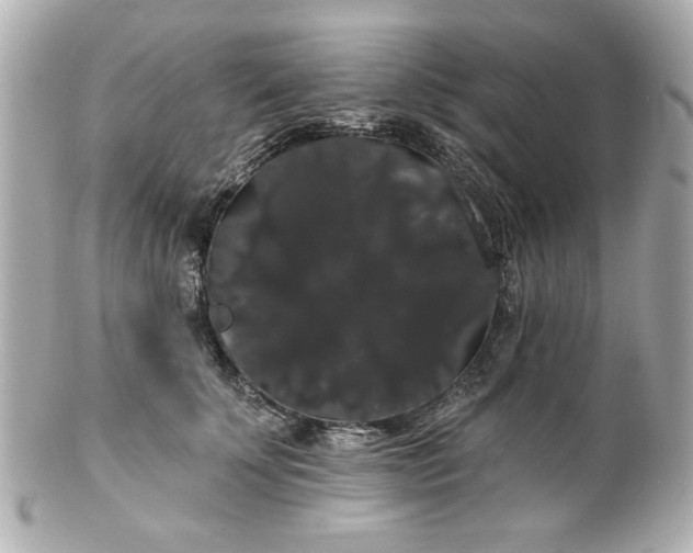 X0000100890707200807011157