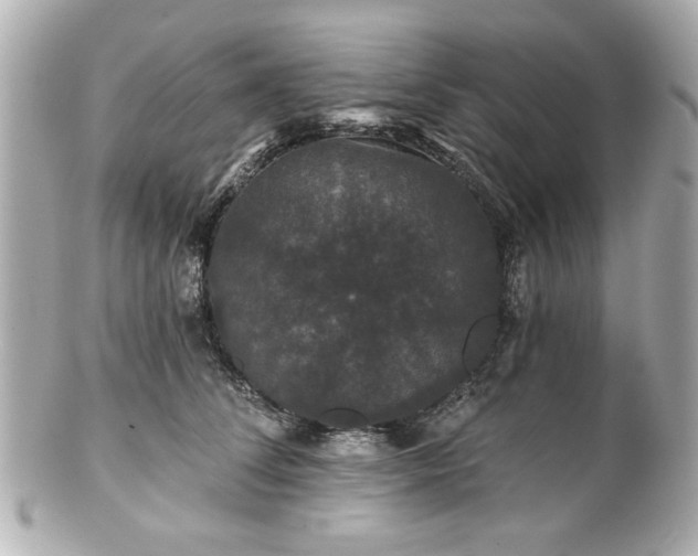 X0000100890708200807011157