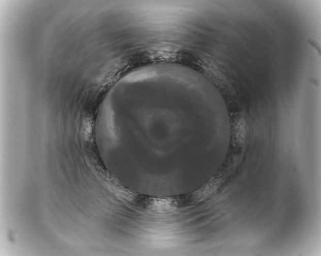 X0000100890709200807011157
