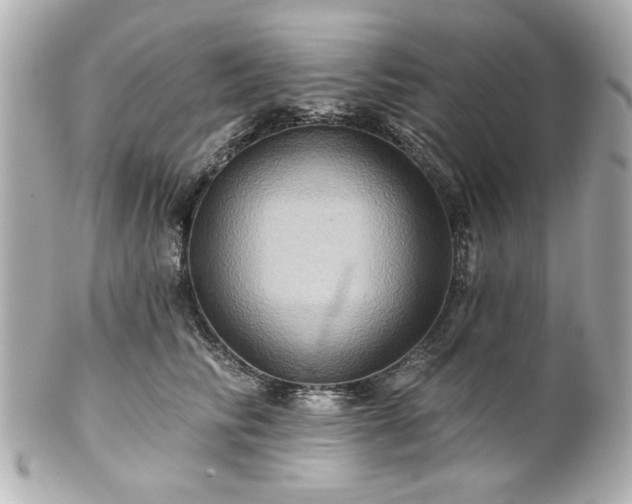 X0000100890710200807011157