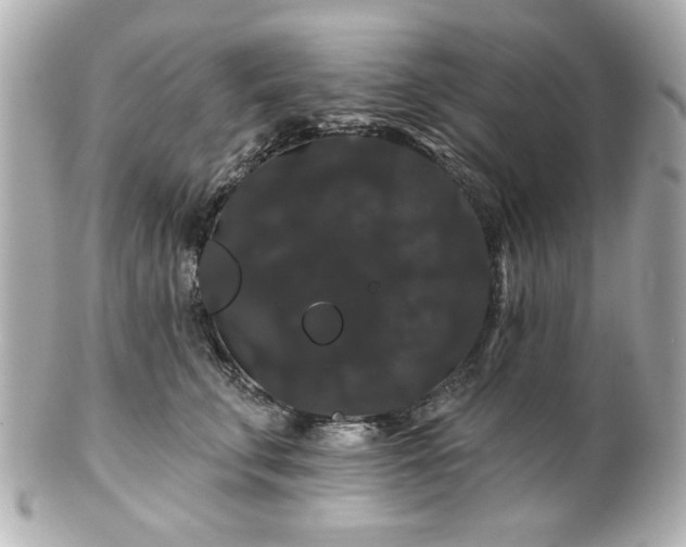 X0000100890711200807011157