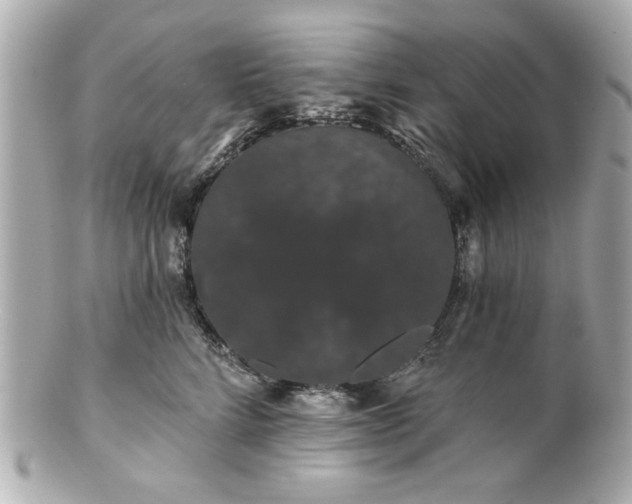 X0000100890712200807011157