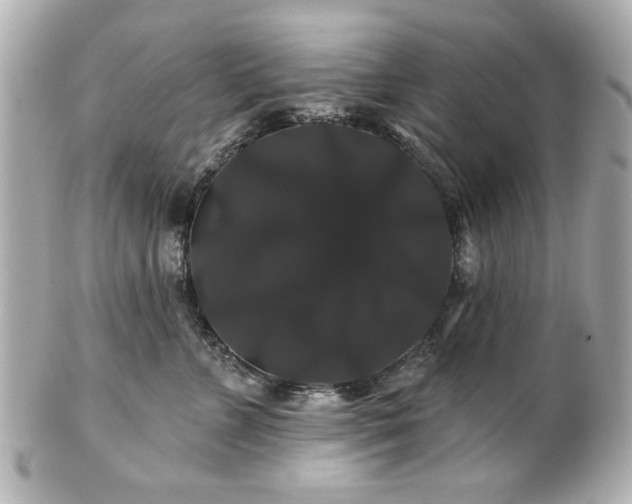 X0000100890715200807011157