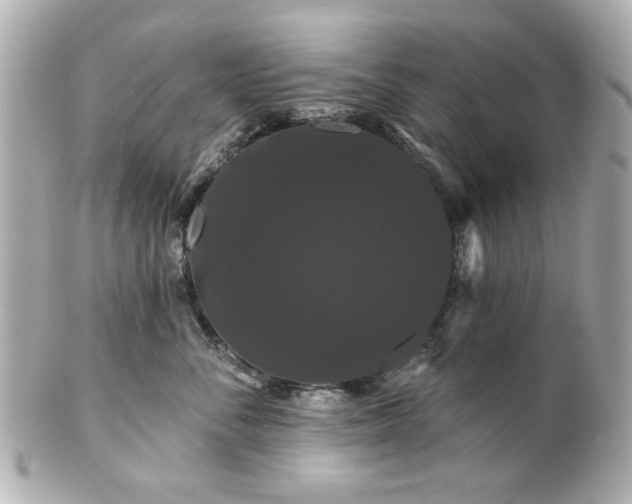 X0000100890716200807011157