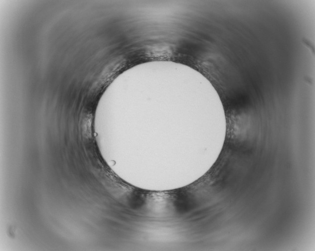 X0000100890717200807011157