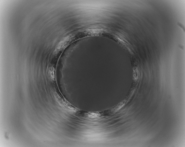 X0000100890718200807011157
