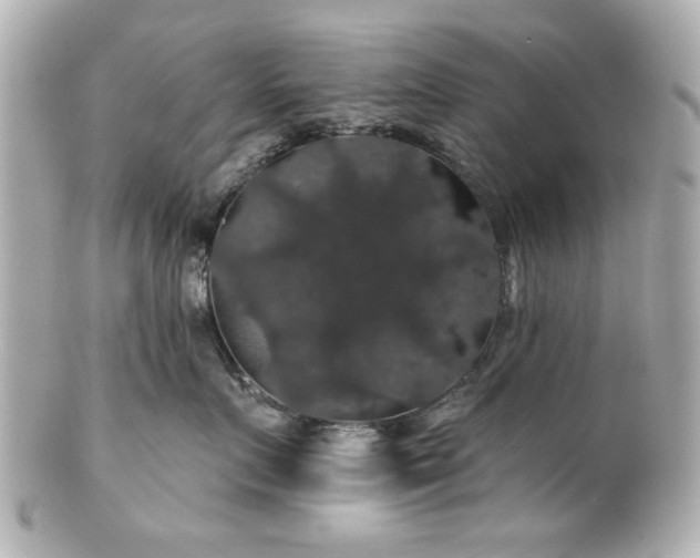 X0000100890719200807011157