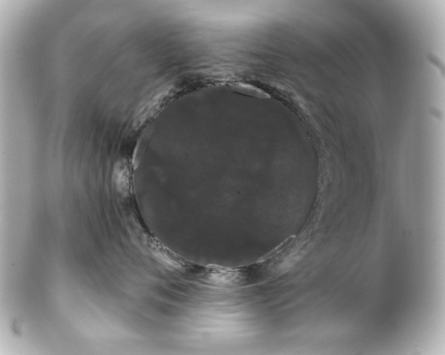 X0000100890720200807011157