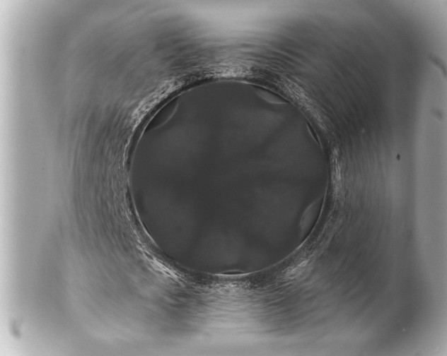 X0000100890721200807011156