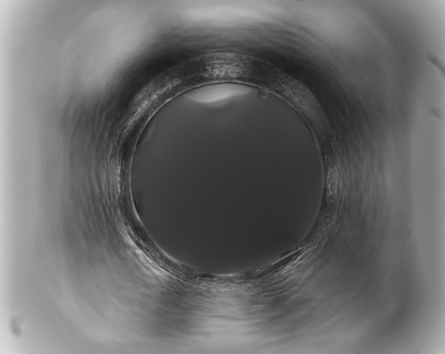 X0000100890722200807011156