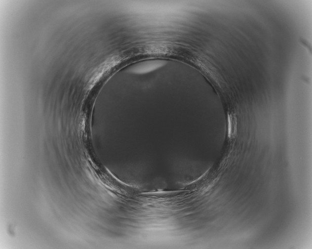 X0000100890723200807011156
