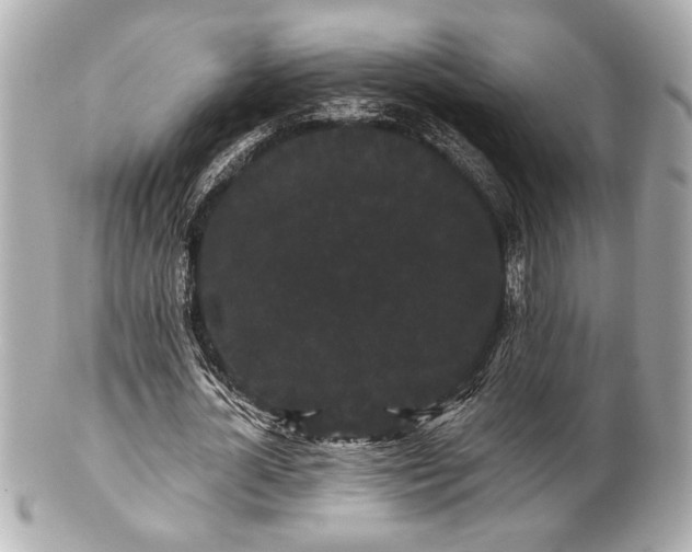 X0000100890724200807011156