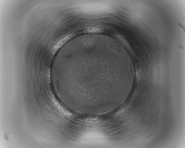 X0000100890725200807011156
