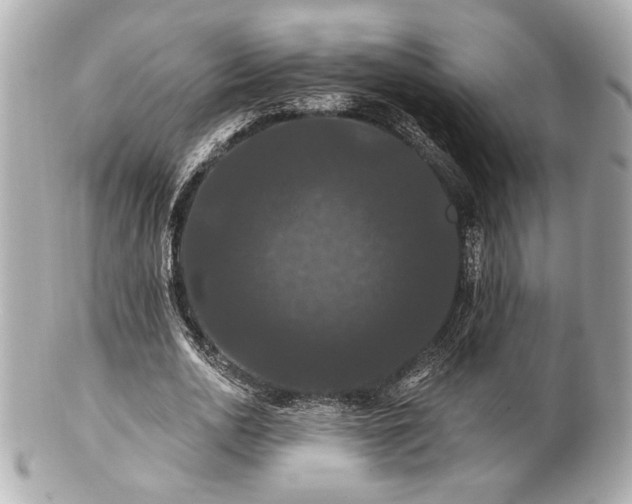 X0000100890726200807011156