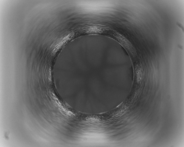 X0000100890729200807011156