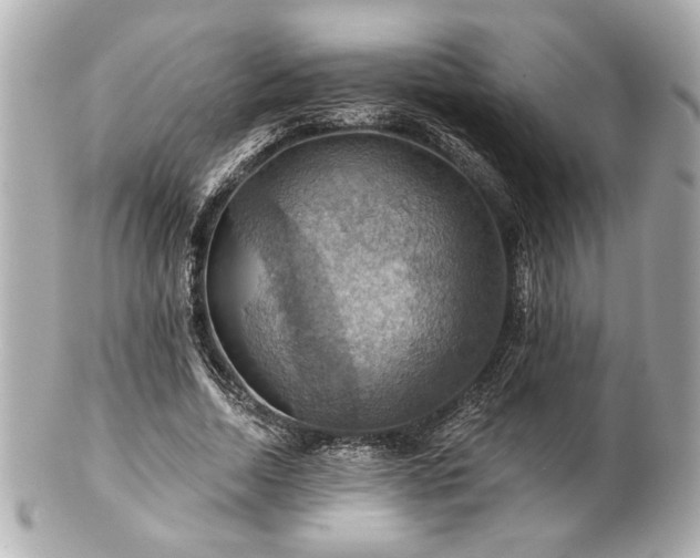 X0000100890730200807011156