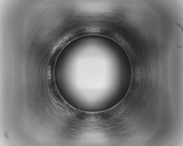 X0000100890731200807011156