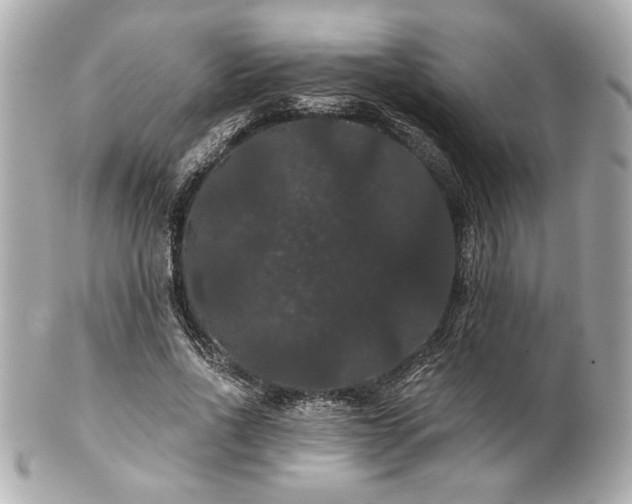X0000100890734200807011156