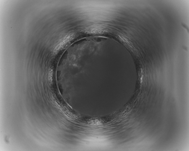 X0000100890735200807011156