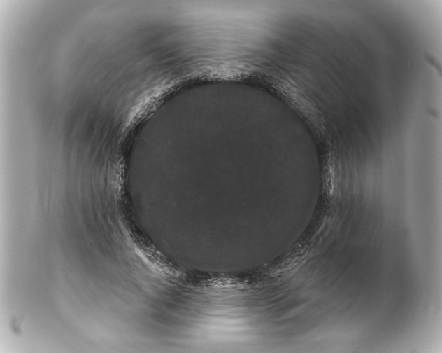 X0000100890736200807011156