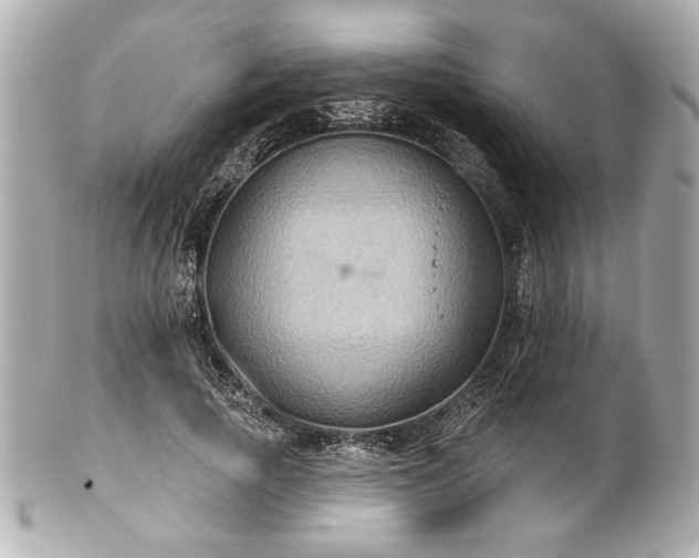 X0000100890737200807011156